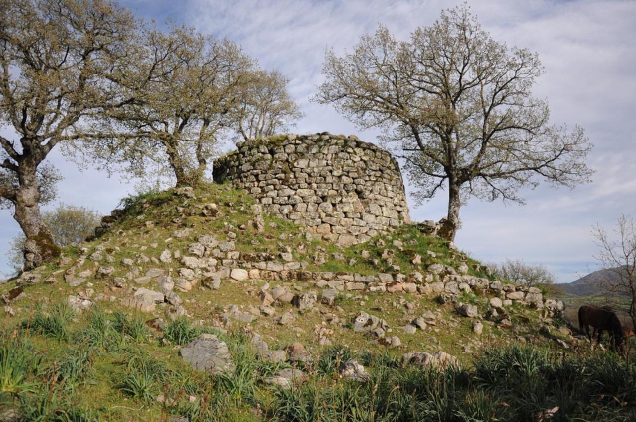L Agrifoglio Di Rita Loddo Daire Fonni Dış mekan fotoğraf